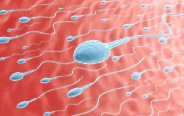 Pria Ini Masukkan Sperma ke Minuman Perempuan Teman Kerja karena Ditolak Kencan