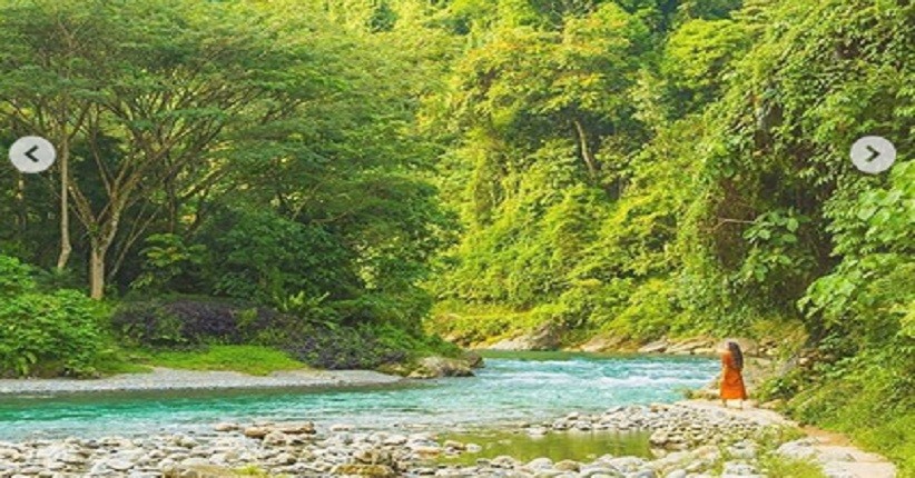 Menjelajahi Bukit Lawang di Sumatera Utara, Lihat Monyet Langka dan Susur Sungai Bahorok