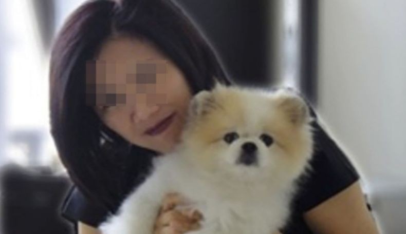 Anjing yang Pernah Dikarantina Virus Korona Mati, Kasus Pertama di Dunia