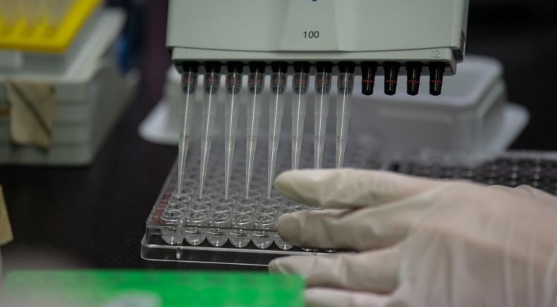 Uji Coba pada Tikus Berhasil, Thailand Yakin Produksi Vaksin Corona Tahun Depan