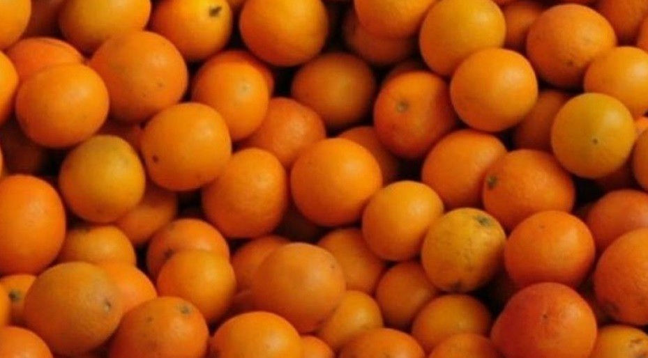 Bolehkah Konsumsi Jeruk saat Batuk?