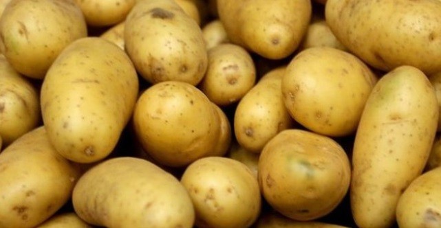 Virus Corona Mewabah, 4 Makanan Ini Bisa Distok di Rumah dan Tingkatkan Imunitas