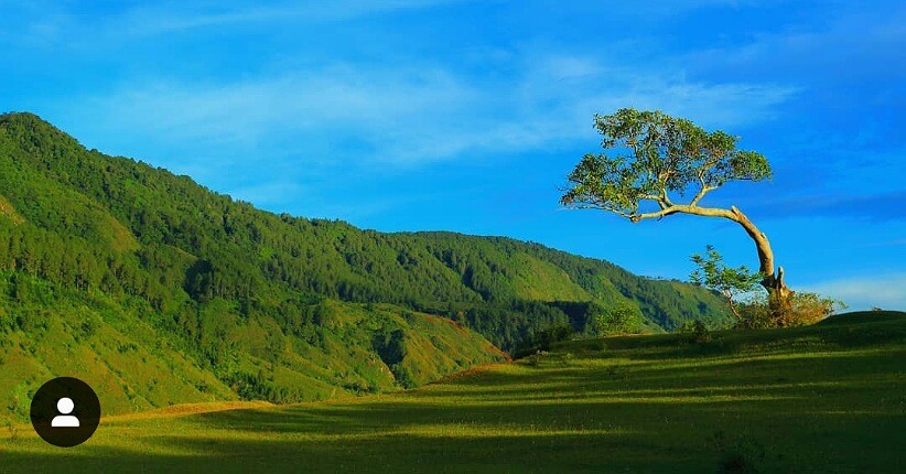 Bukit Eksotis Ini Jadi Spot Terbaik Menikmati Danau Toba di Samosir
