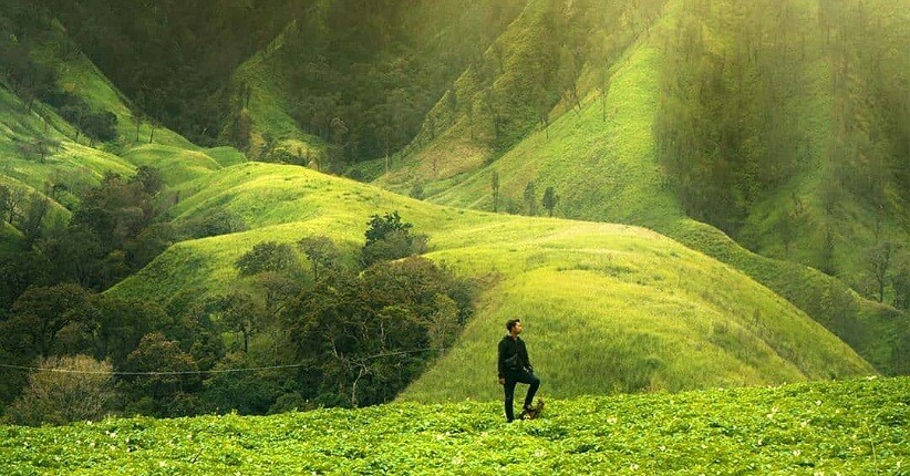 Negeri Dongeng di Bondowoso, Ada Taman Galuh Diselimuti Hamparan Bunga