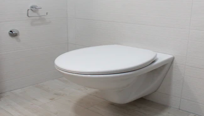 Smart Toilet Bisa Mencari Tanda Penyakit lewat Kotoran Manusia