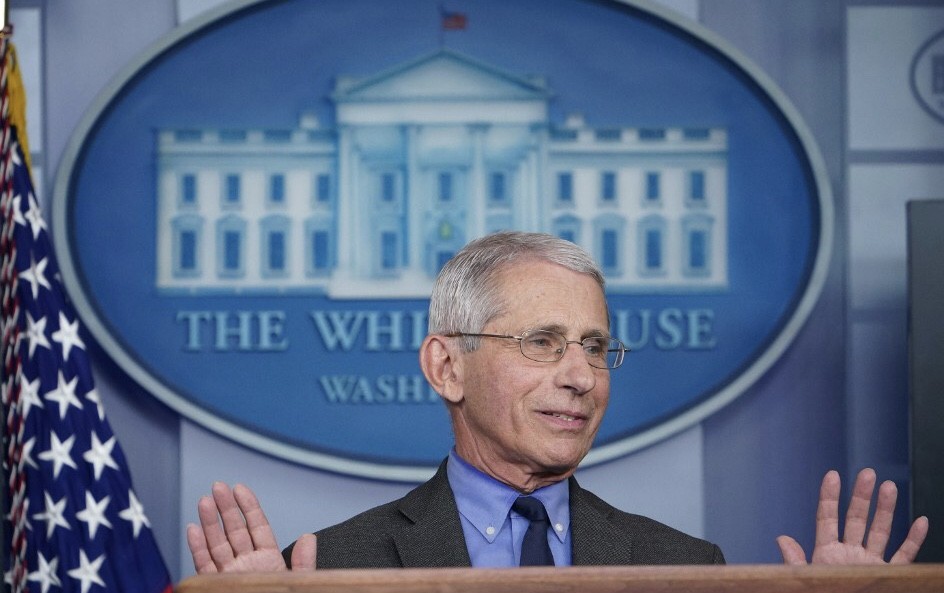 Heboh Isu Trump Pecat Dokter Gugus Tugas Virus Corona Gedung Putih   