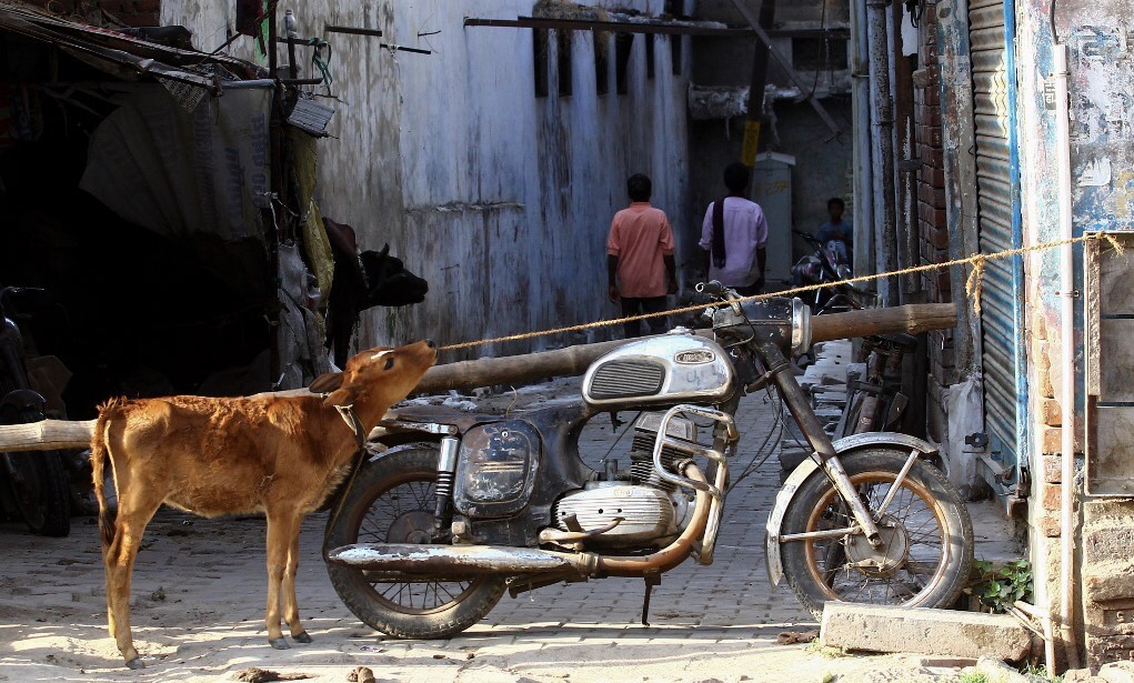 Kisah Pilu Lockdown di India, Warga Jalan Kaki Ratusan Km hingga Disiram Air Keras