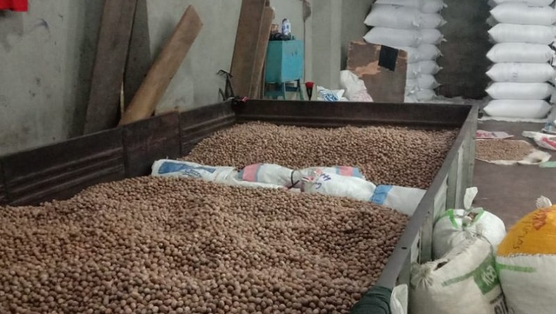 Harga Hasil Perkebunan Cengkih dan Biji Pala di Ambon Menurun