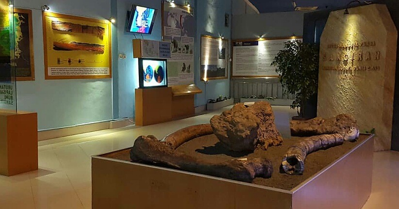 5 Situs Bersejarah Indonesia Diakui Dunia, Salah Satunya Menyimpan Fosil Purba