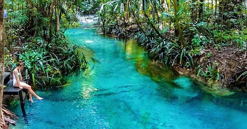 Sungai Terindah di Raja Ampat, Kali Biru Warsambin Miliki Air Jernih Kebiruan