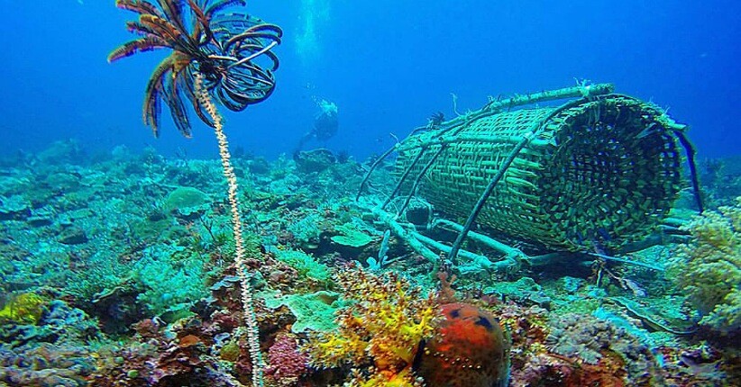 Mengenal Pulau Alor, Surga Tersembunyi di Timur Indonesia