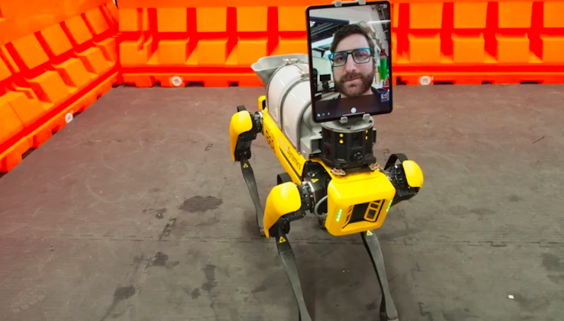 Robot Anjing Digunakan untuk Bantu Petugas Kesehatan Berbicara dengan Pasien Covid-19