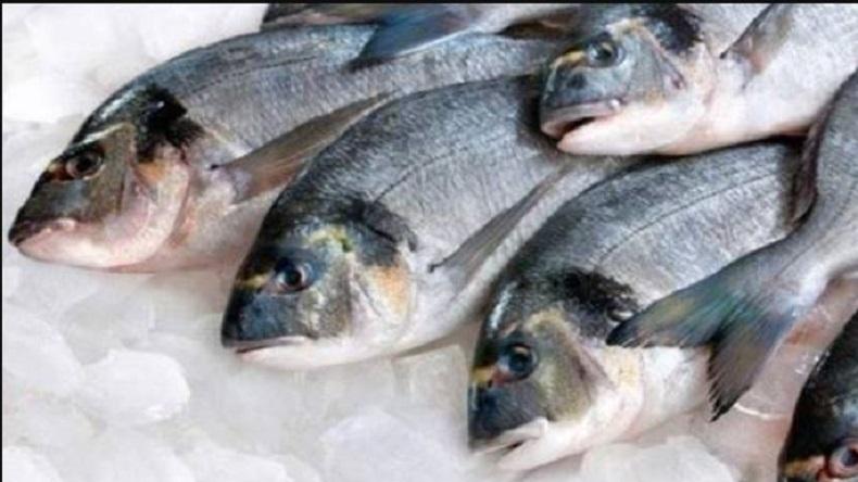 Arab Saudi Ketagihan Impor Produk Filet Ikan dari Indonesia 