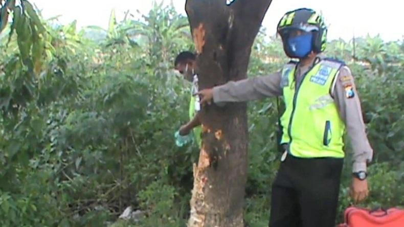 Ngebut, Warga Gresik Tewas Tabrak Pohon di Lamongan