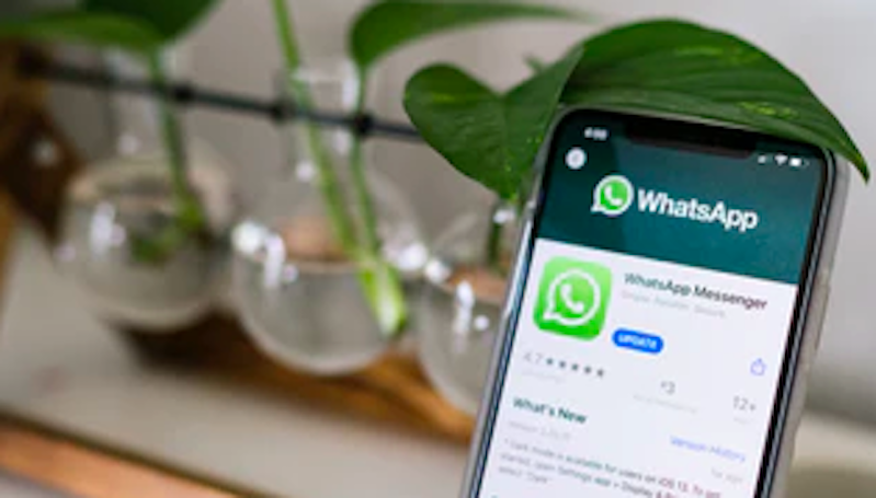 4 Fitur WhatsApp Ini Bisa Mempermudah Anda saat WFH