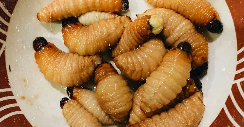 5 Makanan Khas Papua Terpopuler, Rasa Unik Ada Martabak Sagu