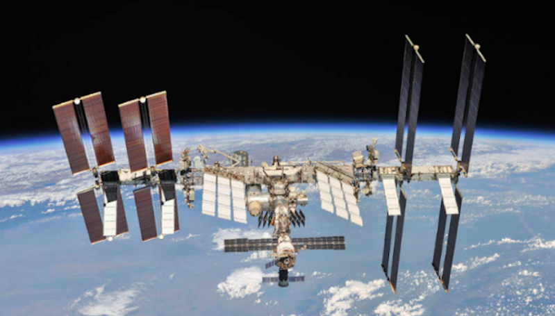 6 Bulan di Luar Angkasa, Benih-Benih Salad Tumbuh Lebih Lambat Dibanding di Bumi