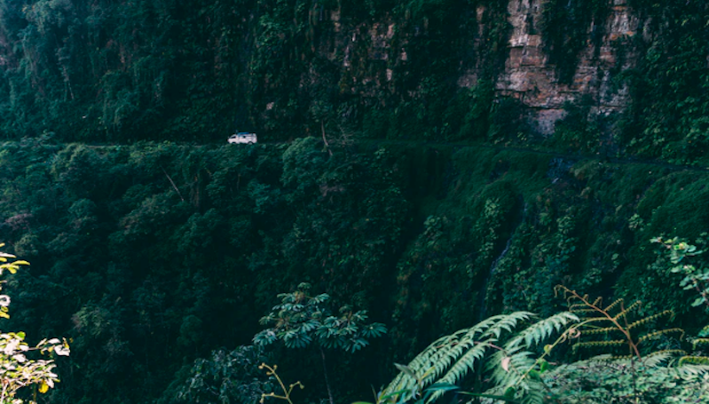 Ahli Ekologi Peringatkan Amazon Bisa Jadi Sumber Pandemi Selanjutnya