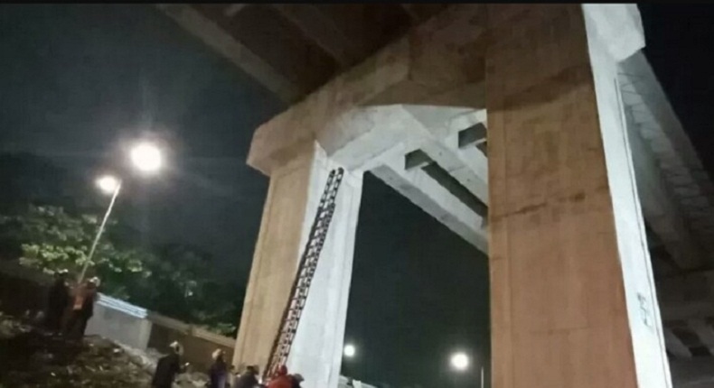 Nyangkut di Lintasan LRT, Seekor Kucing Dievakuasi Damkar Jakarta Timur