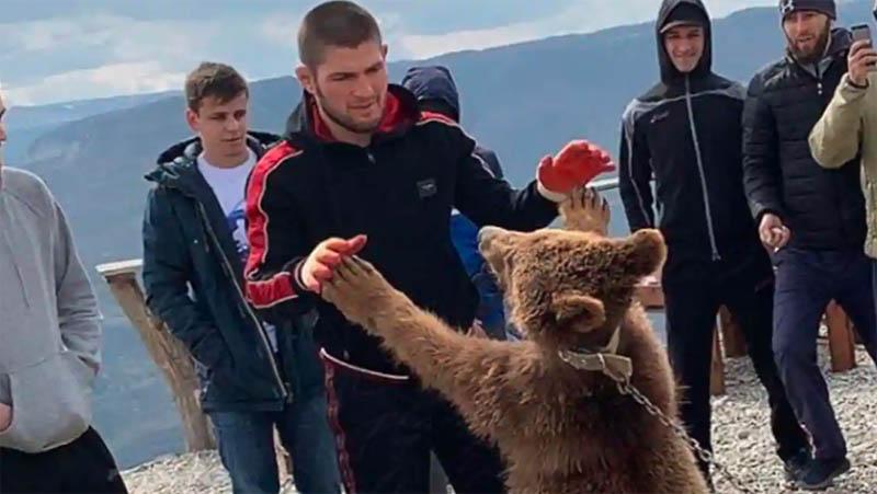 Menu Latihan Khabib Nurmagomedov Kecil: Duel Versus Beruang