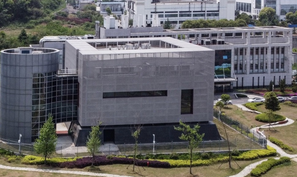 Laboratorium Wuhan Simpan 3 Jenis Virus Corona dari Kelelawar, Tepis Hasil Rekayasa