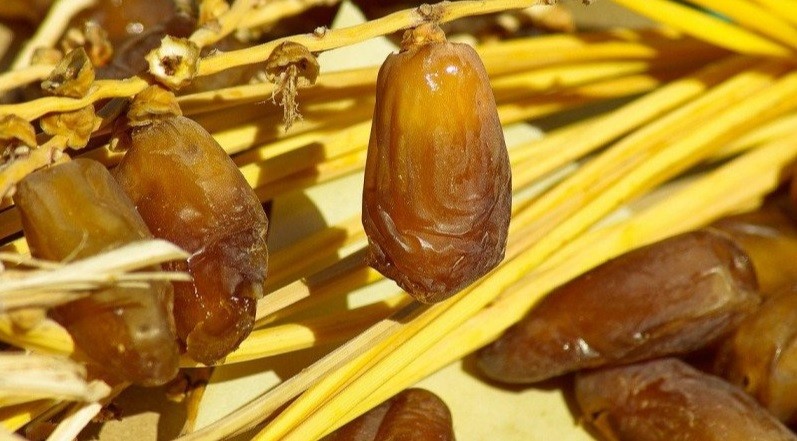 Puasa Syawal Baik untuk Menjaga Sistem Pencernaan, Begini Penjelasan Pakar