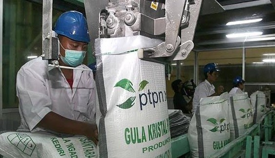Kementerian BUMN: Direksi PTPN Dirampingkan Agar Efisien