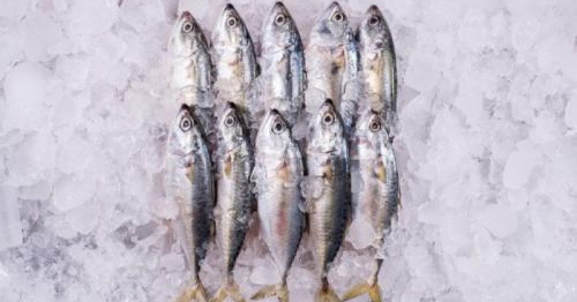 Tips Membersihkan Ikan Beku, Pakai Teknik Ini Lebih Simpel