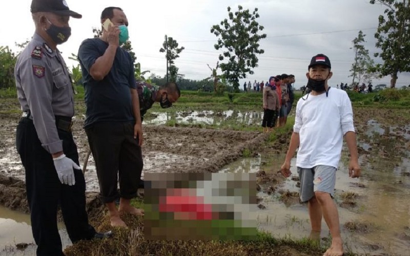 Kakek di Purbalingga Ditemukan Tewas di Sawah, Kepala Masuk Kubangan