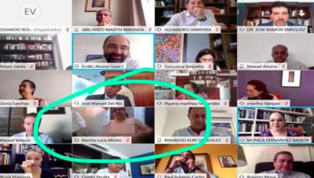 Mengira Kamera Sudah Mati, Senator Perempuan Ini Telanjang Dada saat Rapat di Zoom