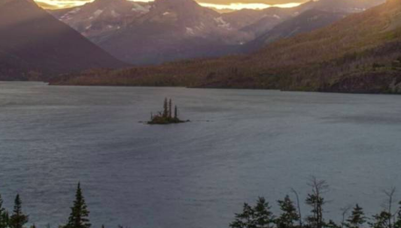 Google Garap Solusi untuk Bug Wallpaper Perusak Smartphone