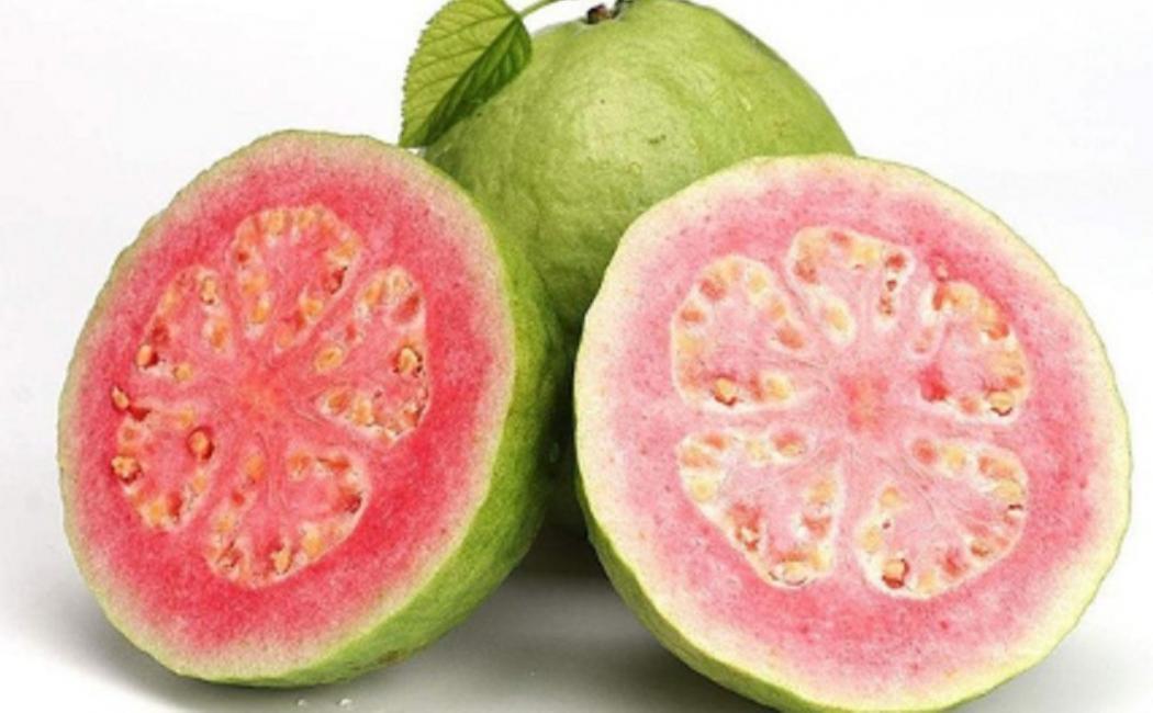 9 Manfaat Jambu Biji, Perkuat Kekebalan Tubuh hingga Mencegah Kanker