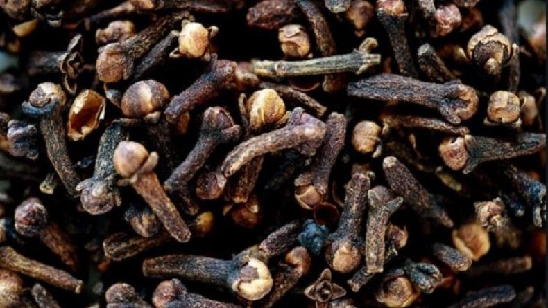 Harga Cengkih di Ambon Turun, Kopra Naik dan Biji Pala Tetap Sama