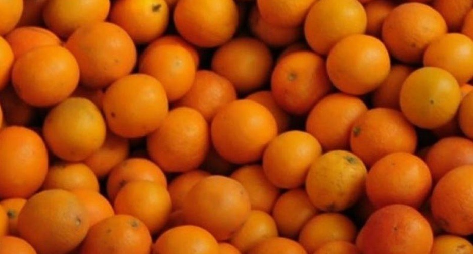 Selain Tingkatkan Sistem Imunitas Tubuh, Ini 3 Manfaat Buah Jeruk