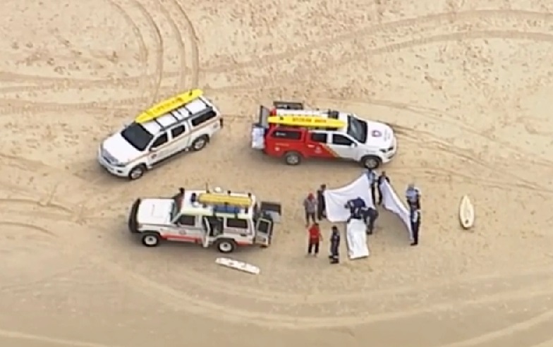 Peselancar Profesional Tewas Diserang Hiu Putih Raksasa di Australia