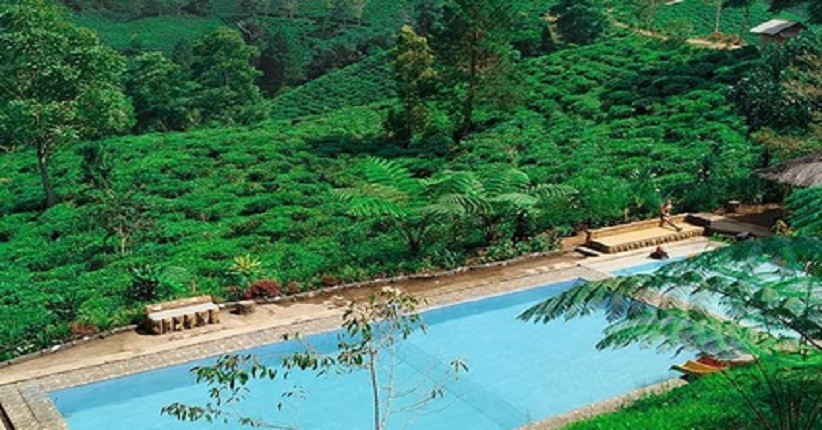 Usai Covid-19 Wisata di Tasikmalaya, Asyik Berenang di Atas Bukit Kebun Teh