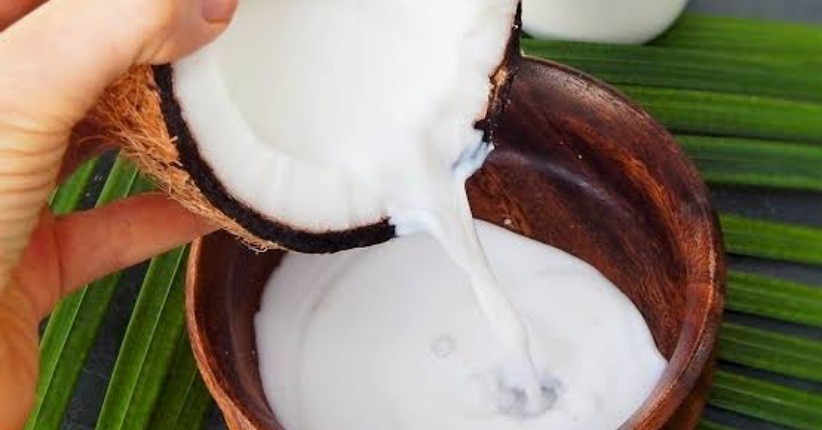 Ketahui Manfaat Santan untuk Masakan, Bisa Jadi Alternatif Susu
