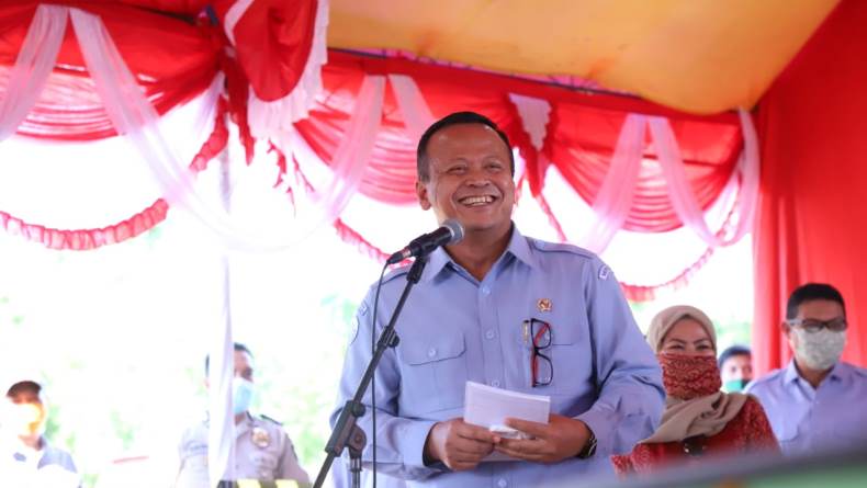 Edhy Prabowo: Eksportir Benih Lobster Akan Bertambah Jadi 31 Perusahaan