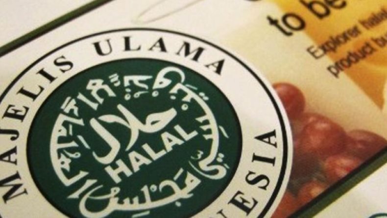 Hasil Munas X MUI Terbitkan 5 Fatwa, Ini Detailnya