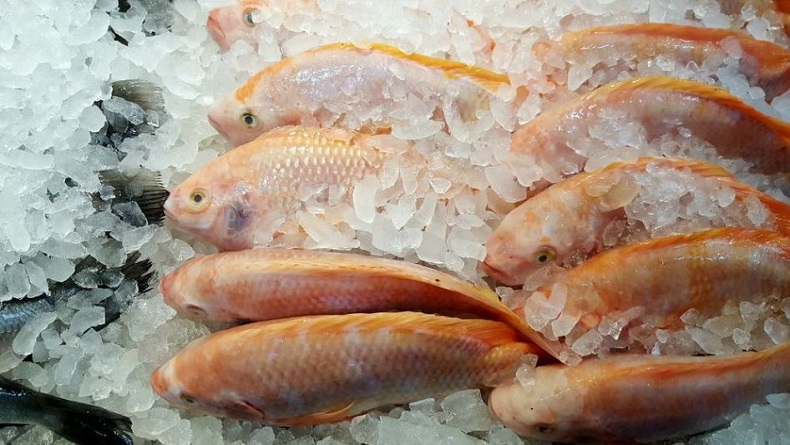 China Larang Produk Ikan Beku Indonesia Masuk, Ini Alasannya