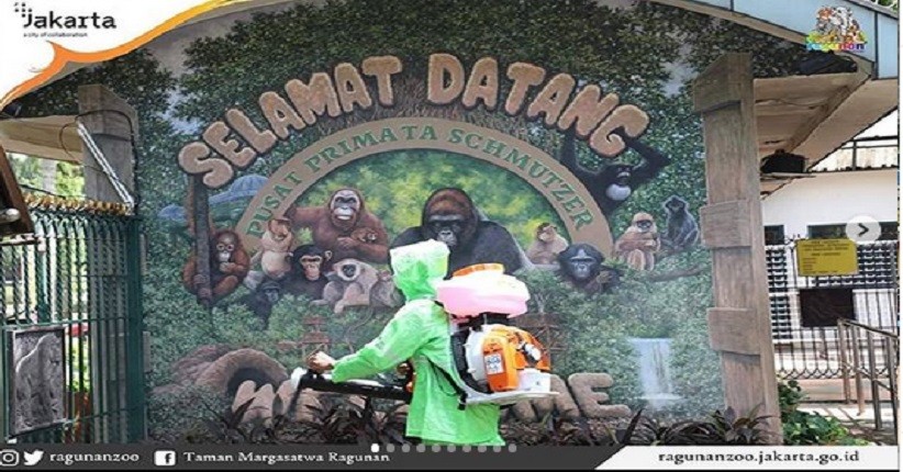 Travelling saat New Normal, Intip Tempat Wisata yang Dibuka Pekan Ini