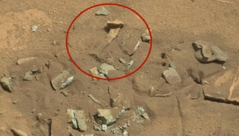 Benda Mirip Tulang Manusia Terlihat di Mars, Begini Penjelasan NASA