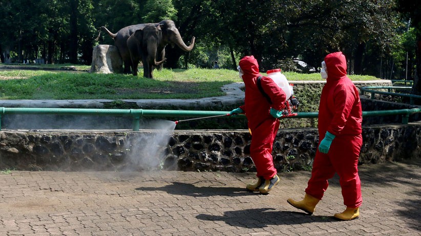 Cuma Warga KTP DKI Jakarta yang Boleh Kunjungi Ragunan