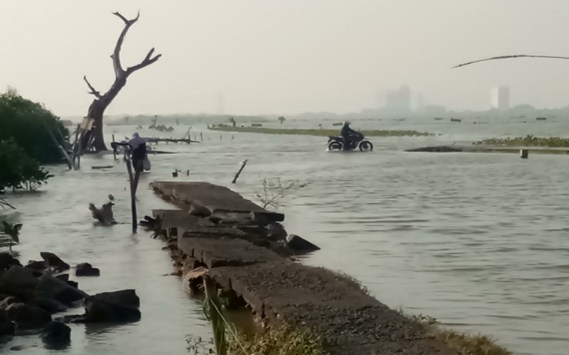 Warga Dukuh Mondoliko Demak Terancam Terisolasi karena Rob