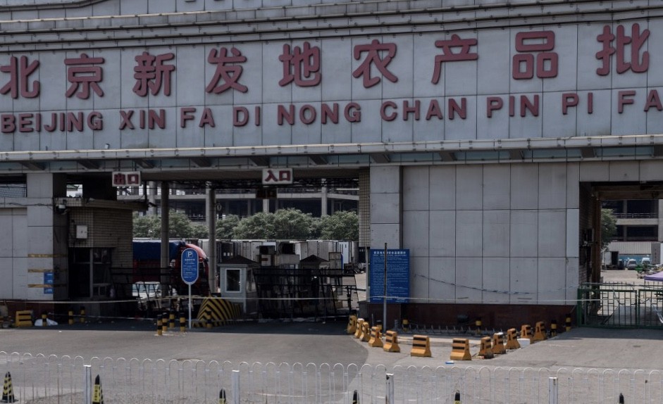 Belum Ada Bukti Virus Corona Bisa Menular dari Makanan