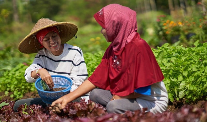 Agni Pratistha Ajak Peduli Lingkungan di Tengah Covid-19