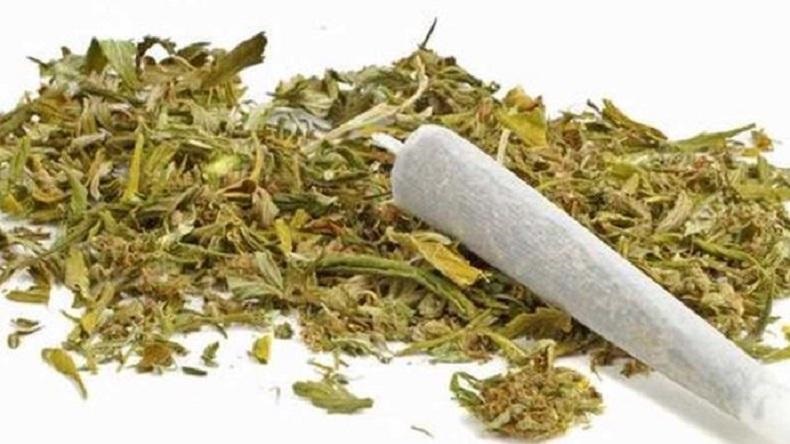 WN Inggris Diadili di Bali karena Kepemilikan 9 Paket Ganja