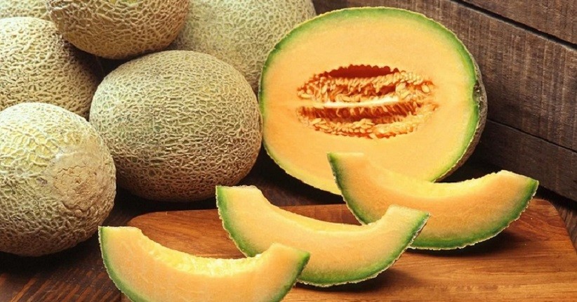 Selain Segar Dijadikan Es Buah, Melon Bisa untuk Diet