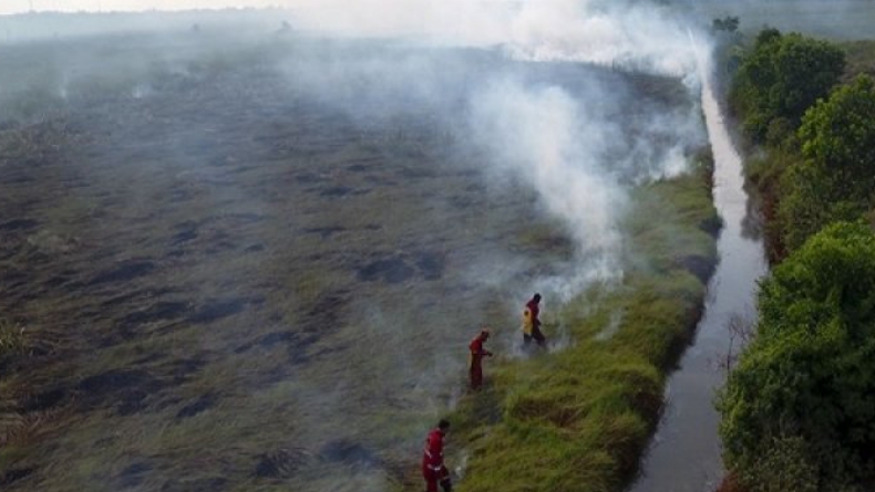 Jelang Musim Kemarau, DPR Ingatkan Pemerintah Serius Antisipasi Karhutla