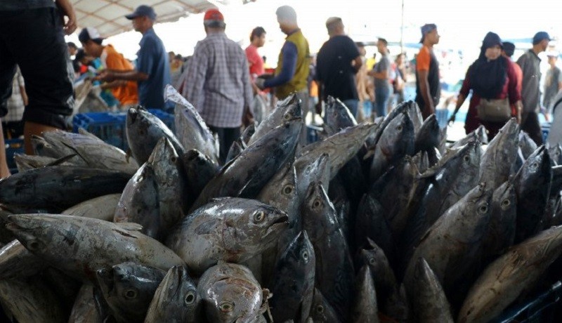Kebutuhan Konsumsi Ikan Masyarakat Indonesia 13 Juta Ton per Tahun